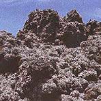 Vesuv Lichen